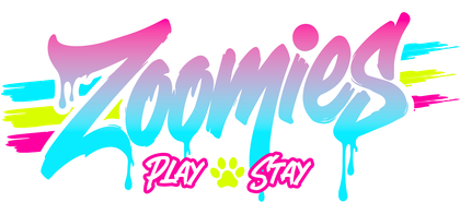 Zoomies Play 'n Stay